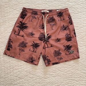 PacSun Mens Swimsuit